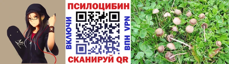 купить закладку hydra Псилоцибиновые грибы Magic Shrooms Аксай