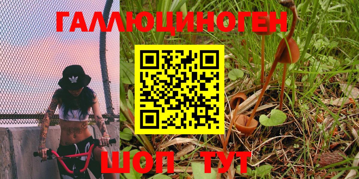 Псилоцибиновые грибы прущие грибы Аксай