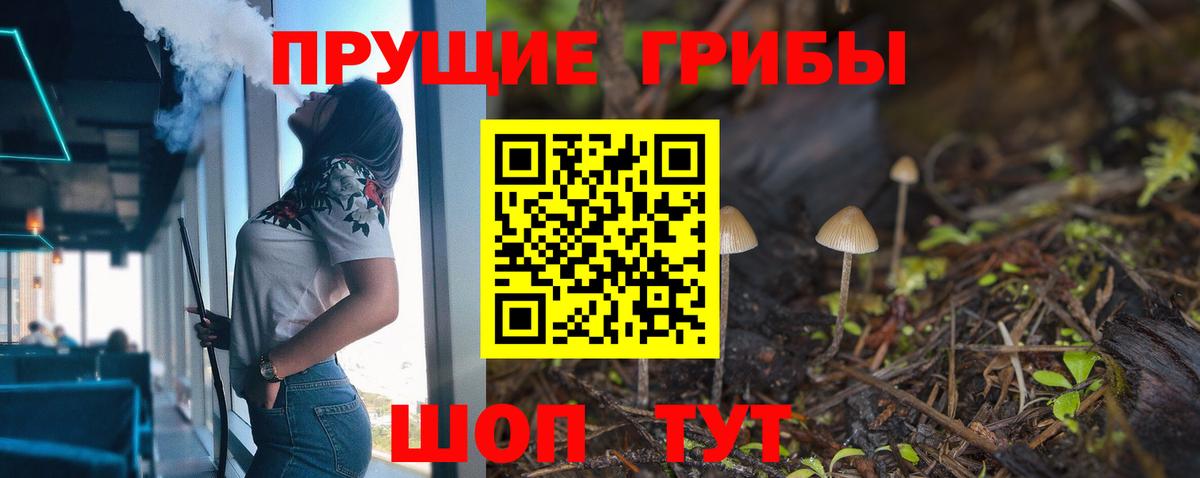 Псилоцибиновые грибы Psilocybine cubensis  Вход с VPN  Аксай 